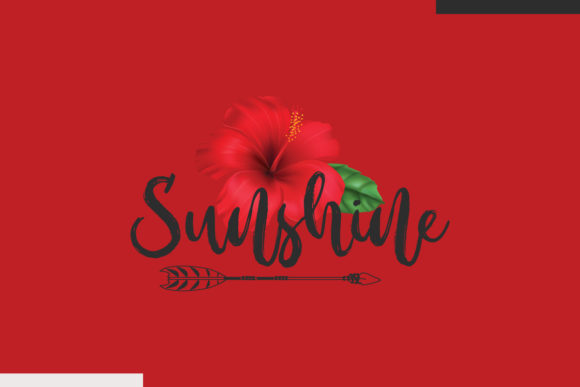 Sunshine Funny SVG Design: A Designer’s Review